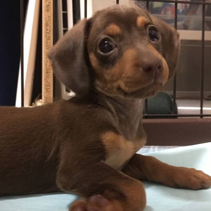 D24ef97e 0384 4e83 b88f e76f307b0f74