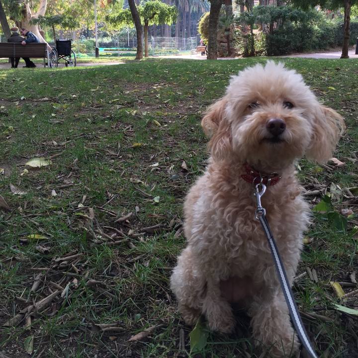 D24f492d 7bcc 4cfc a568 bb183550a3f3