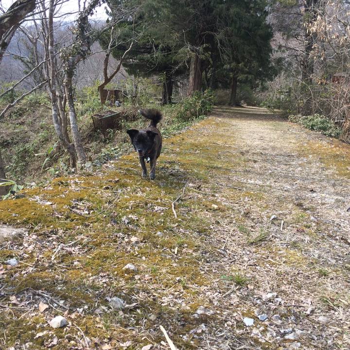 D2500af6 8e69 43d5 87a3 519e896bc701