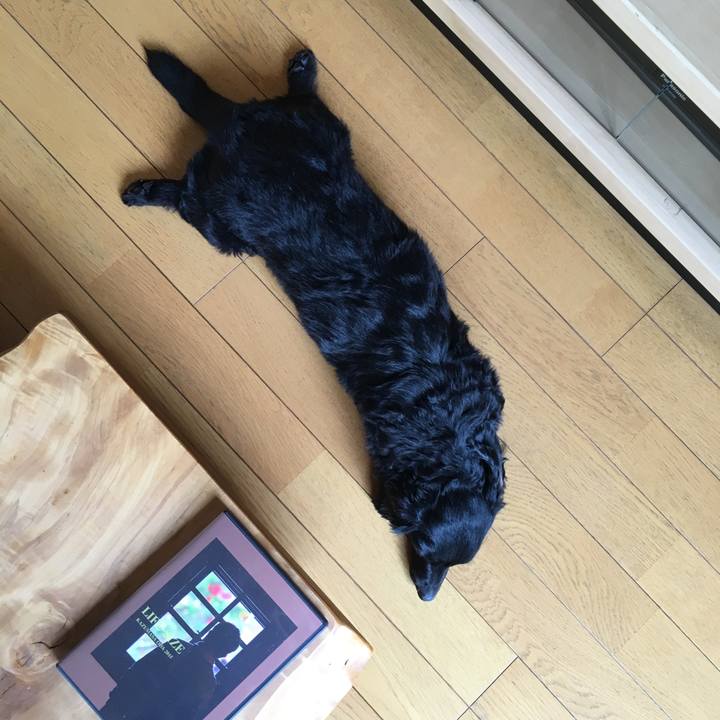 D2501857 31fe 49d7 8e50 cbdb7ef15661