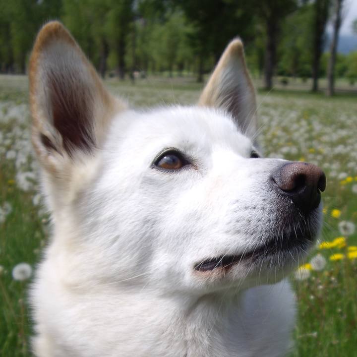 D2502d72 47d7 427e 8a92 a250ae0ab427