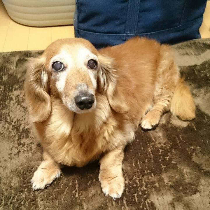 D2504d6f 55d2 4d12 9416 29ea443e1105