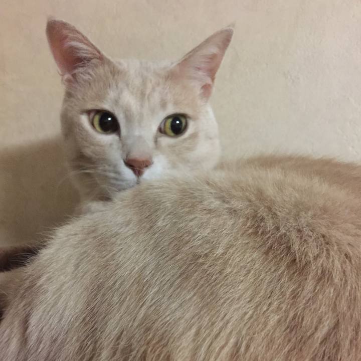 D250a2ad b757 48d9 bfd5 d8455799f8c9