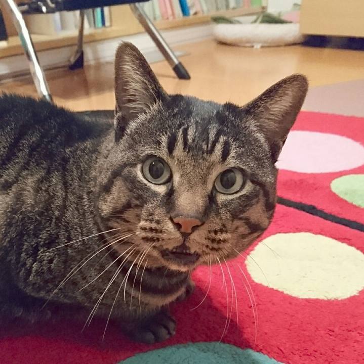 D250b42e 6fbc 4704 8118 fe8124e08599