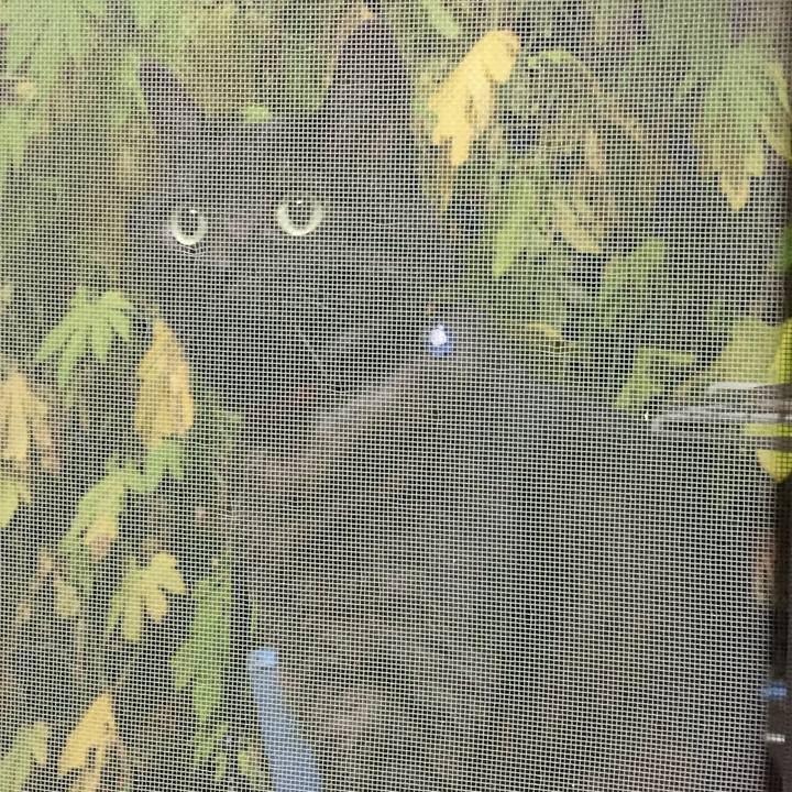 D25207ba e823 4b53 9fbd 74f18c04b980