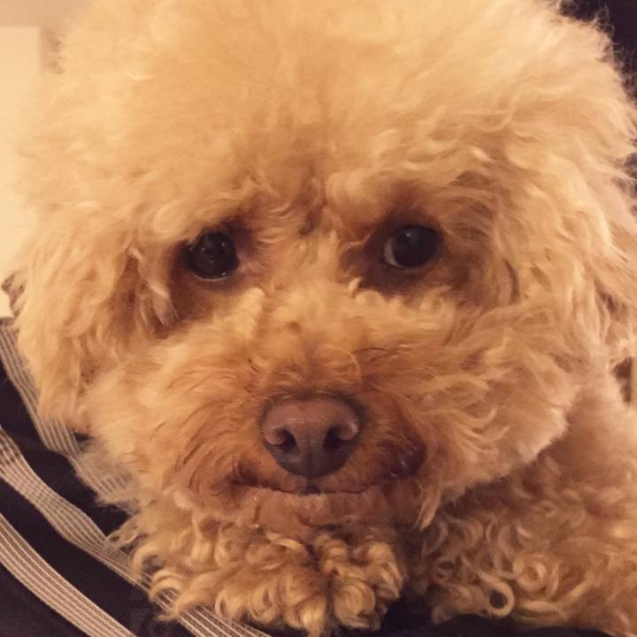 D2522ef0 3c85 41ca 915b 0813000569a3