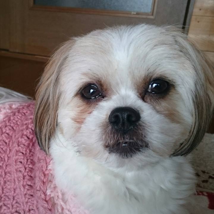 D2529854 7c5e 4d5d b8b7 9b5a3ae35bb4