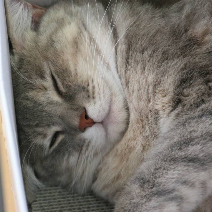 D252ab7a bb43 4247 8466 6757bd51c1bc