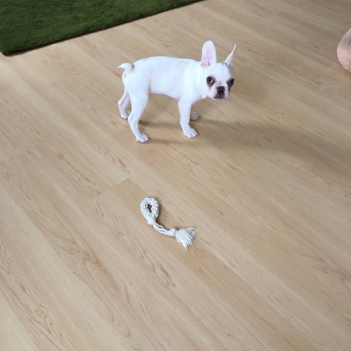 D252c1f8 d71b 458e 8bfc c4434f929d7c