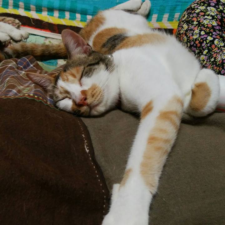 D252dbb4 ba6d 4810 a5ae 093ccce66a4e