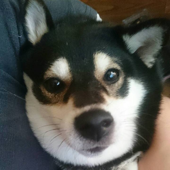 D2534991 ee6b 4f47 b51a 3d1f92bc88e3