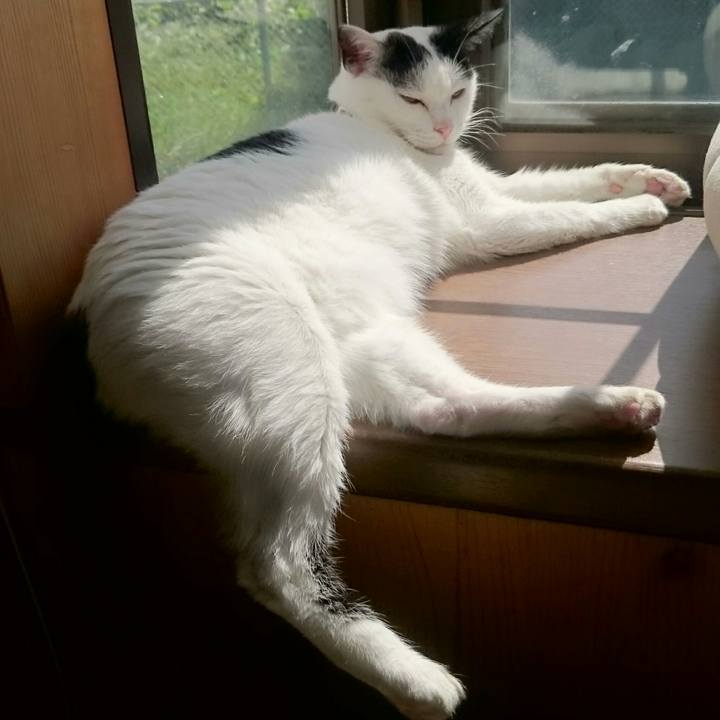 D253d35c 1b7f 4dc8 9740 312f83b67407