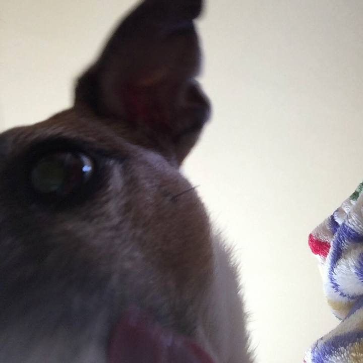 D254626f 7214 4421 b1ae 264050997454