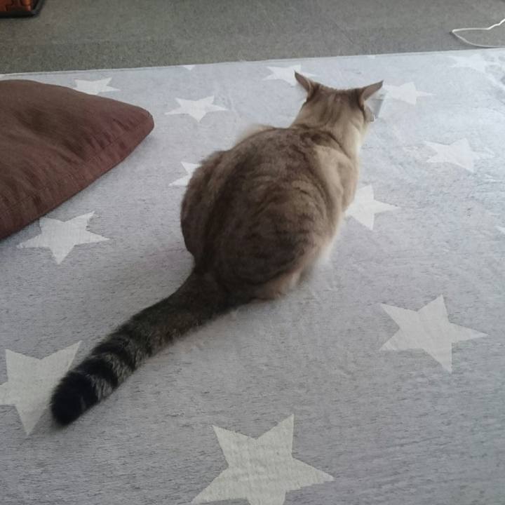 D254c64c bfe0 472b b8ff 000651044d54