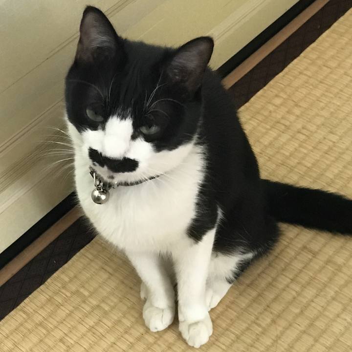 D25518b8 74e9 4141 b5b8 0df3d0ef376a