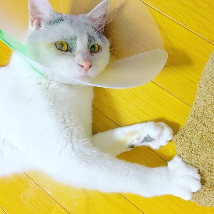 D2556dc1 6164 4a14 bd25 9a6c332ac7fe