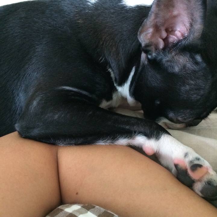 D255827c a9a1 4290 9f75 4b6d8a259d3f