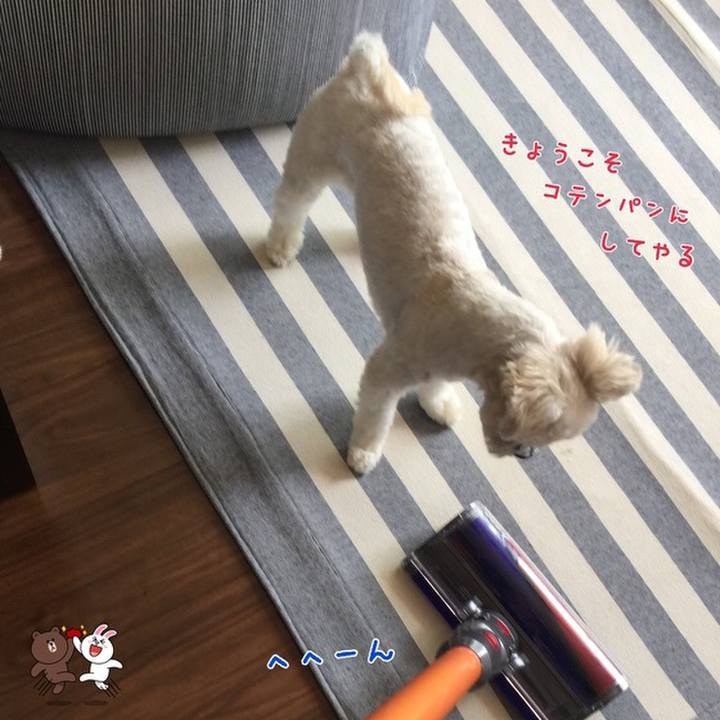 D255a537 6da6 4827 a19f 693973223fb1