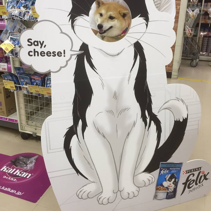 D25632bf b921 4426 9db2 5ec3b346fa4e