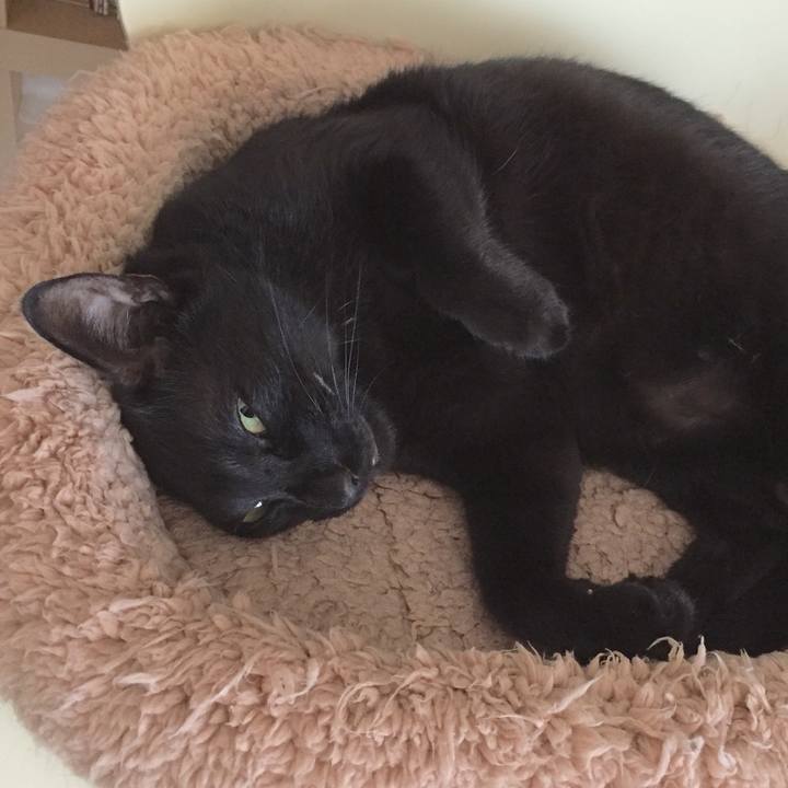 D25644b3 ed97 4f5d ba53 0b71dd7ee526