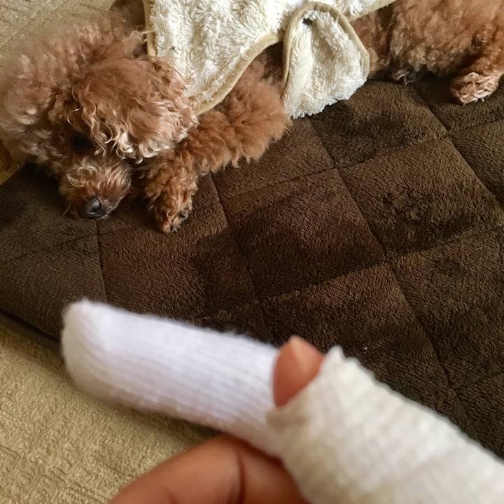 D2567653 de09 47cd 912c 8d8cf8b20274