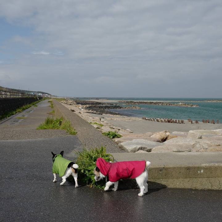 D2573cf9 d5b5 451b 9ad4 57273f6a1491