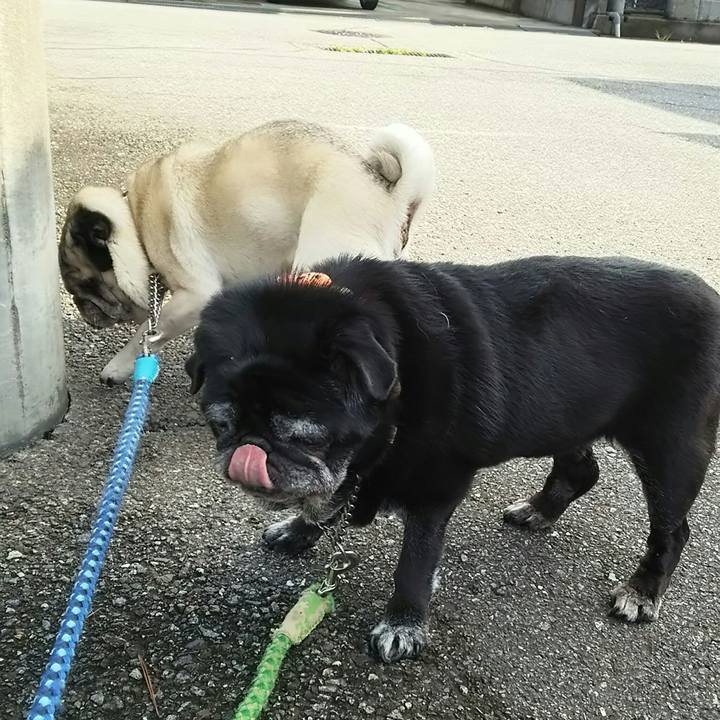 D2576ec1 f06f 478d 9c01 48ae853afc67