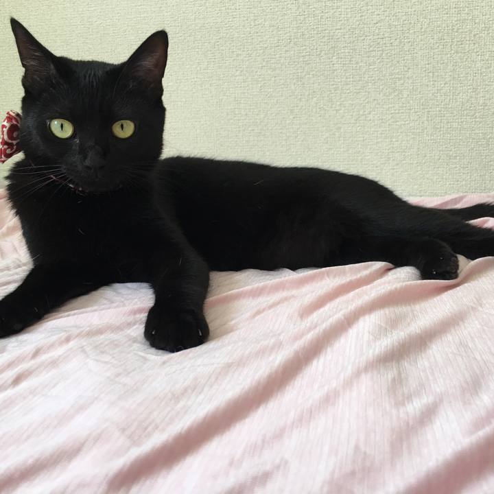 D258723b 1afe 4cd7 bd08 d45907523e56