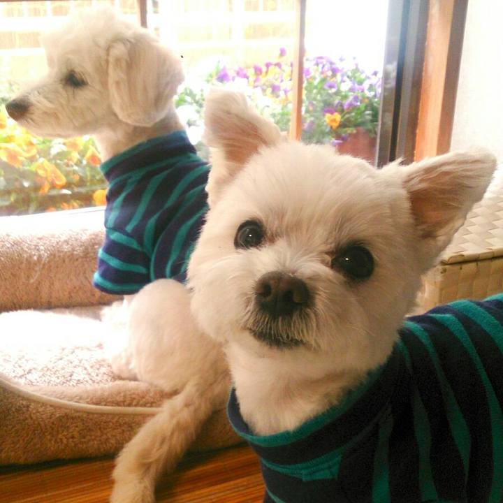 D2591d8c 505b 48e9 af44 d2eb28451780