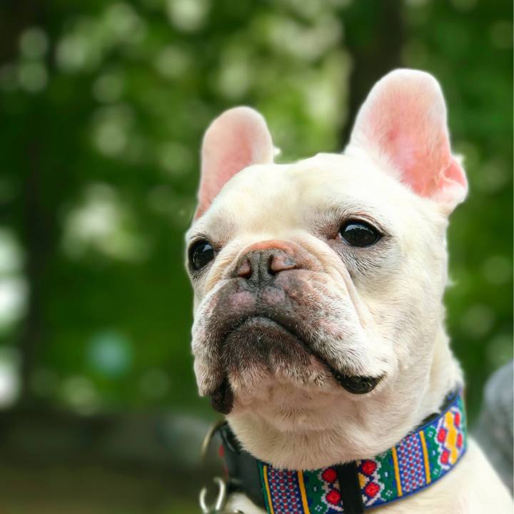 D25929ab 80ec 4ab9 bb25 23877a3e6ea9