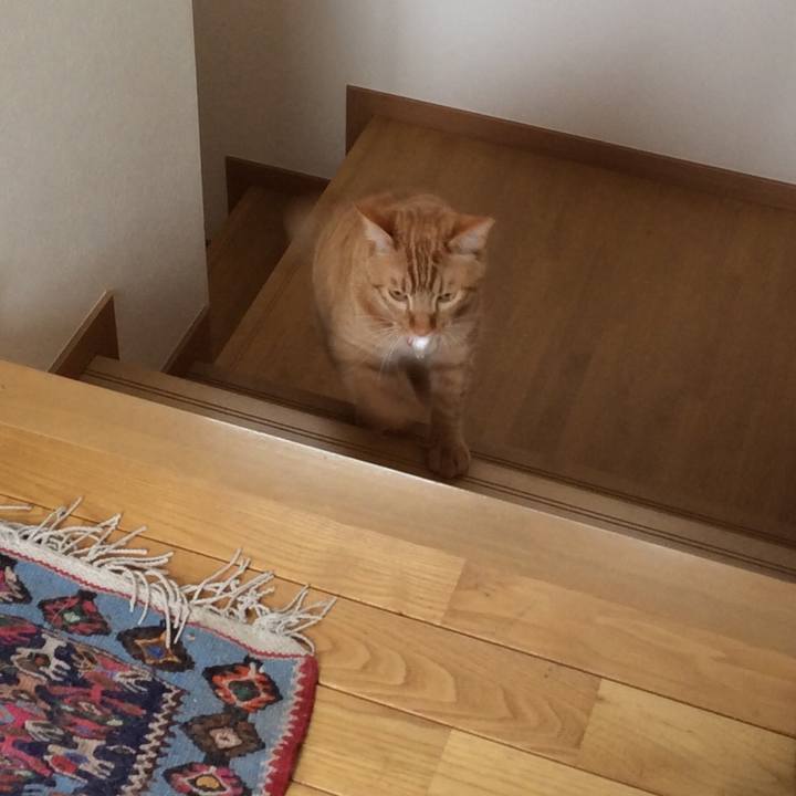 D25932fd 7f9b 4b2b 9e27 38177ef92880