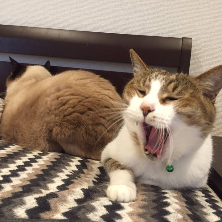 D2593494 3ac6 4bef 8f22 b13b285c065f