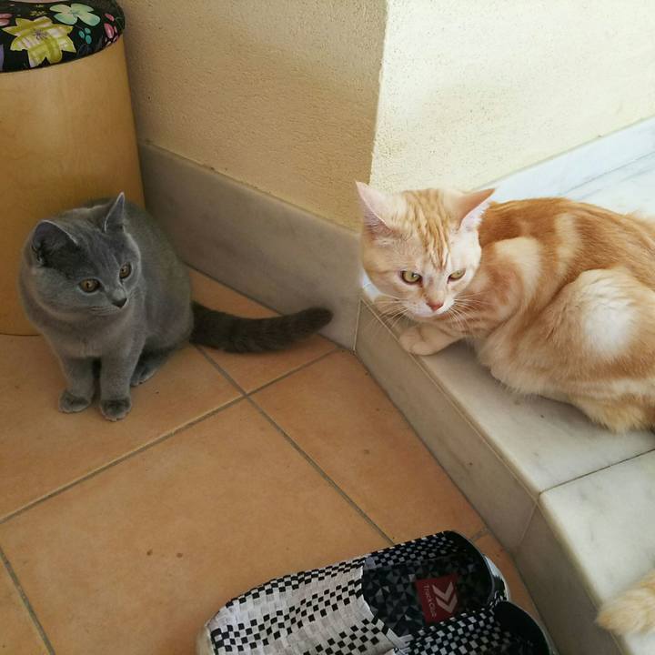 D25984bb d104 4602 896a f3a9228c8c60