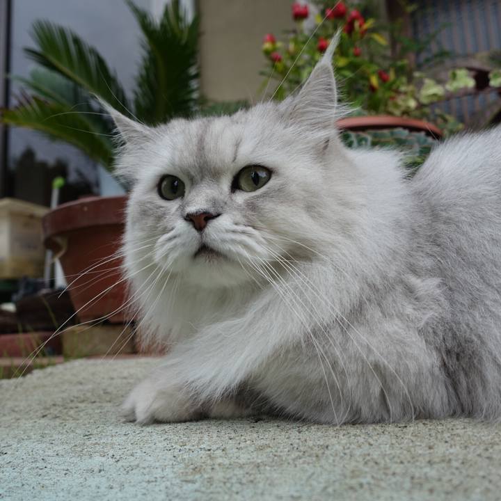 D25a92e9 af7e 4143 b3fa c026f752a773