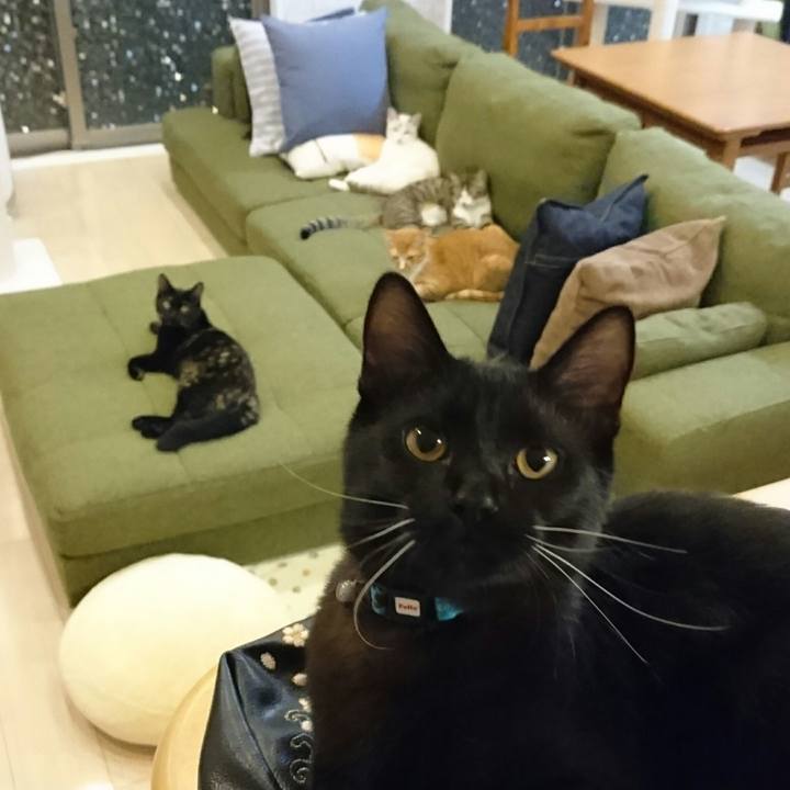 D25b38f0 97ef 46ce 9586 fa481a668bd9