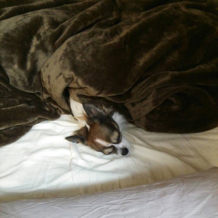 D25b5229 4a61 49a9 8eda 9d4d5c9fe5c1