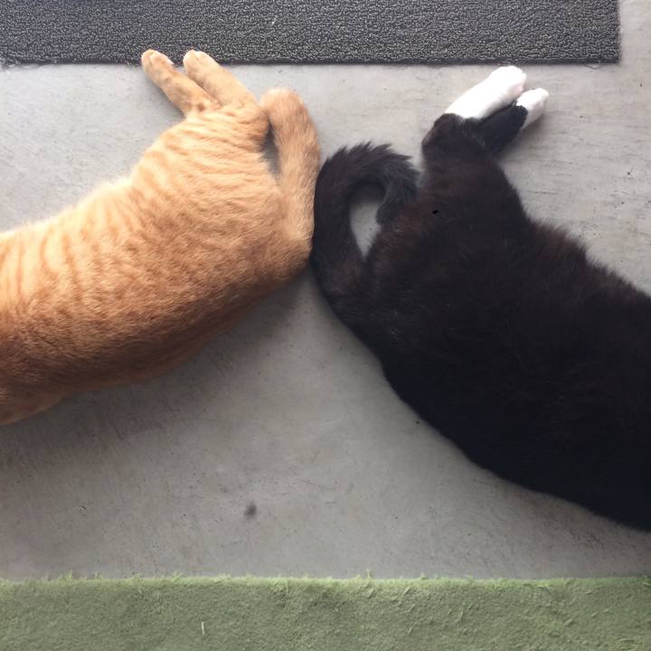 D25b8dd7 7342 48bc ac51 eef906210775