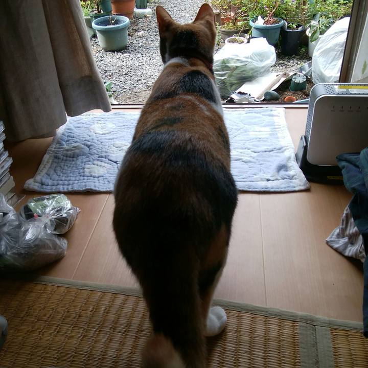 D25c4bea 9f93 4dd7 bd6b 5c63634ad39d