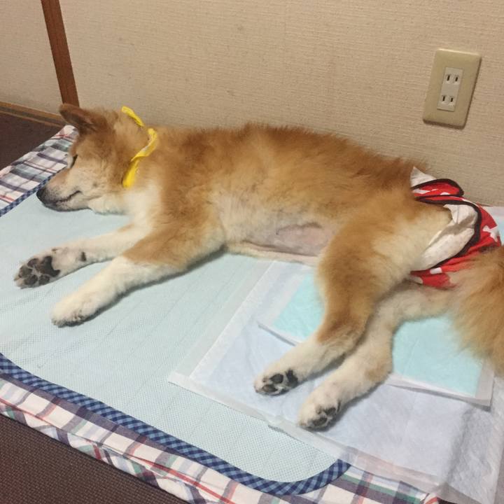 D25c7437 7810 4898 87d8 2d67080b04bd