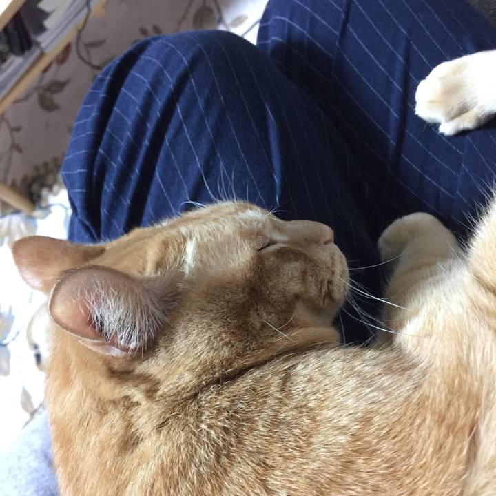 D25cba80 a035 470e b328 e490c28cd3d2