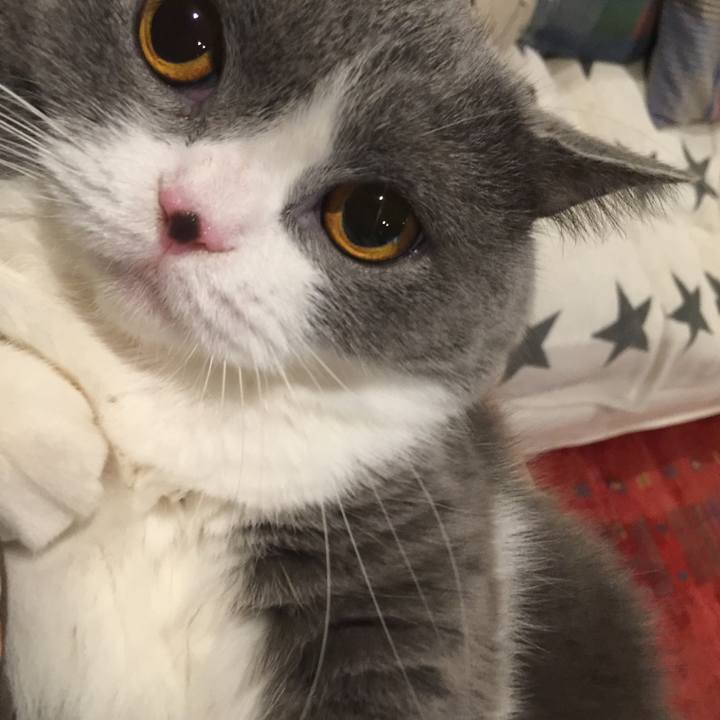 D25cc1be 8e36 4c76 abe9 f18ad4b87fe6