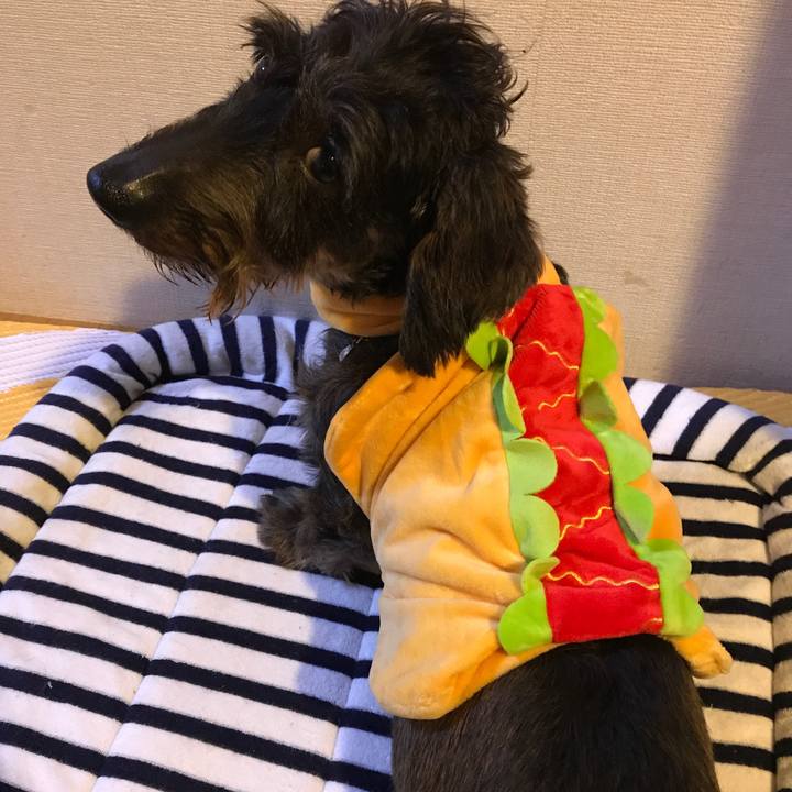 D25d4a6f 5d4d 40ea bab7 b030eca71af2