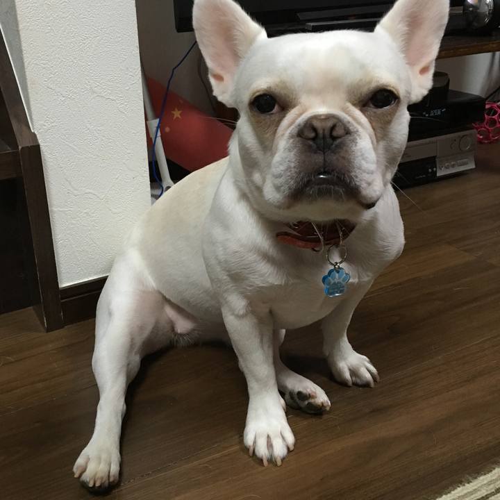 D25f3227 8ec4 4fcc beb0 c29a9059fe66