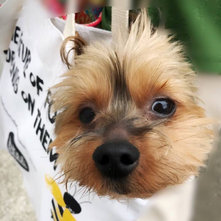 D25f62af bcbf 4282 8515 676f5994b75c