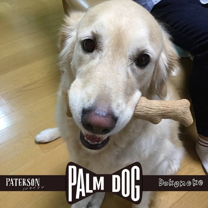 D25fb368 b562 4271 96c1 b4486929105c