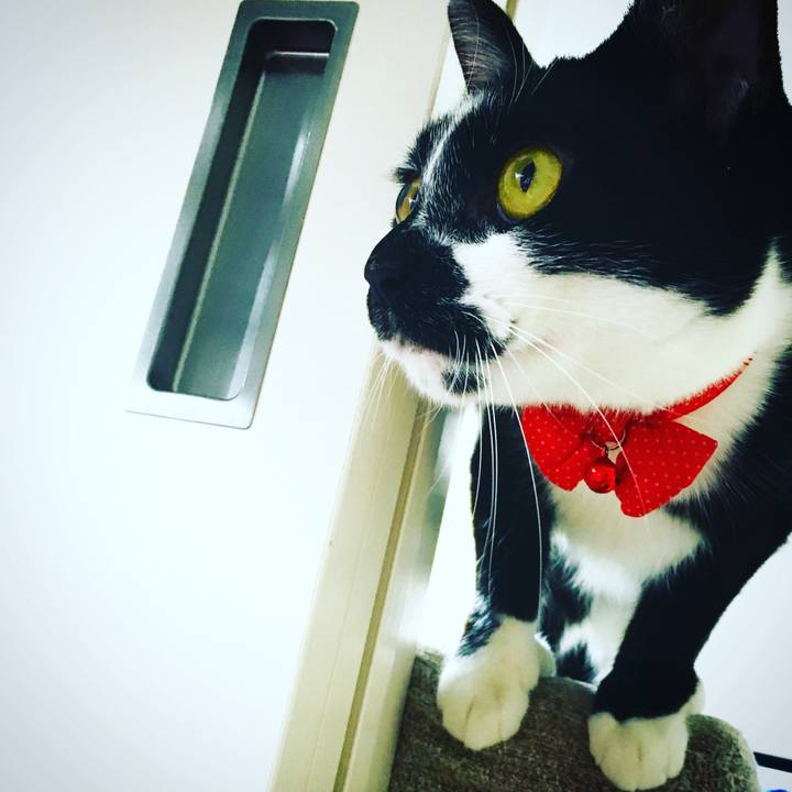 D2602b44 c282 4ff5 aac1 cf664865e6ec