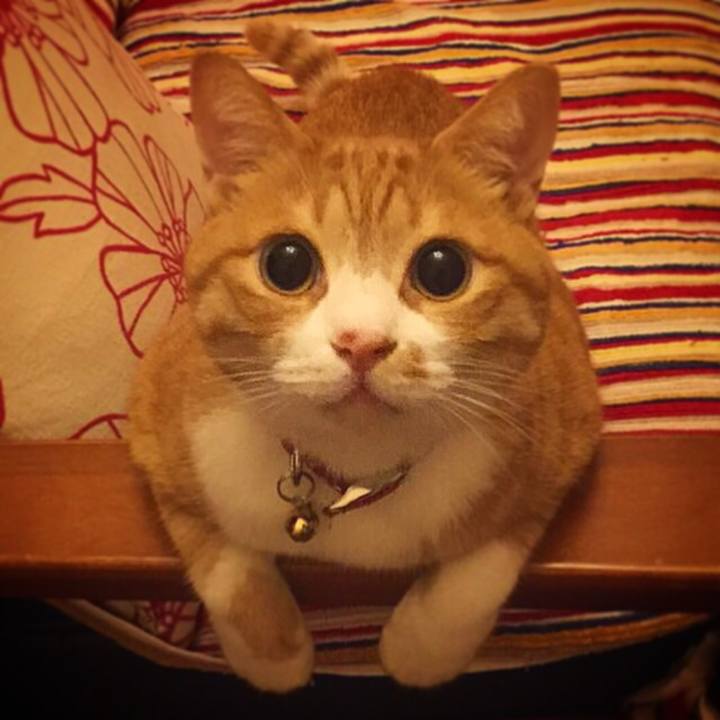 D26132ae eca3 4cf3 99f0 8314d2ce8cc9