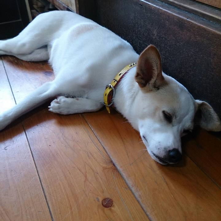 D261632b 6007 4bae b0b1 549551fa8c64