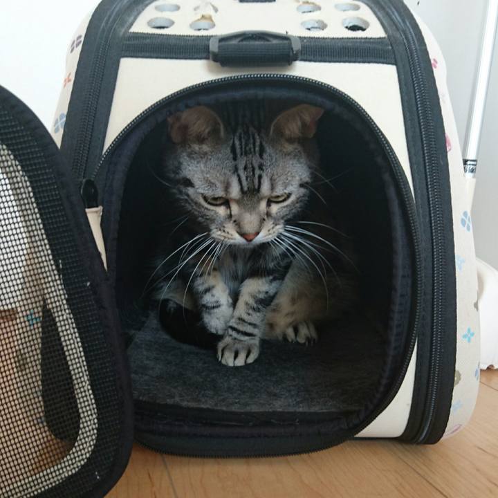 D2616dac 3006 448c a141 2bf1389b789a