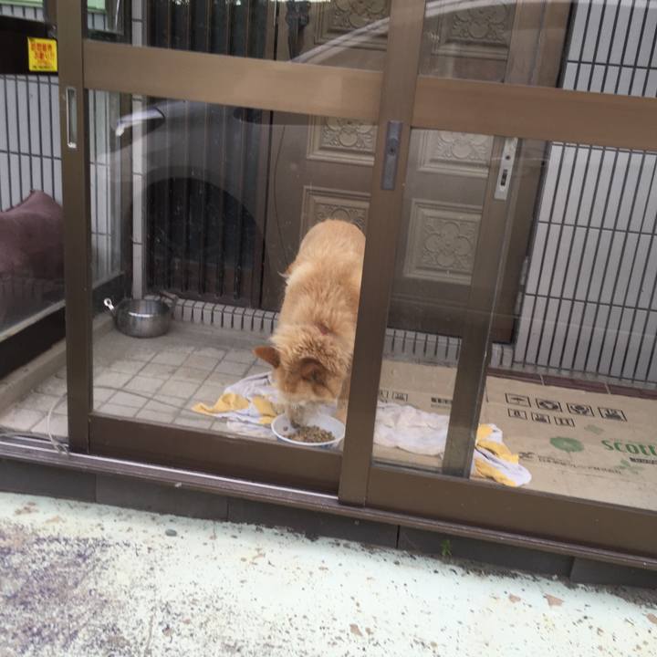 D2616e28 f517 4ae7 b3fb 728cff918b25